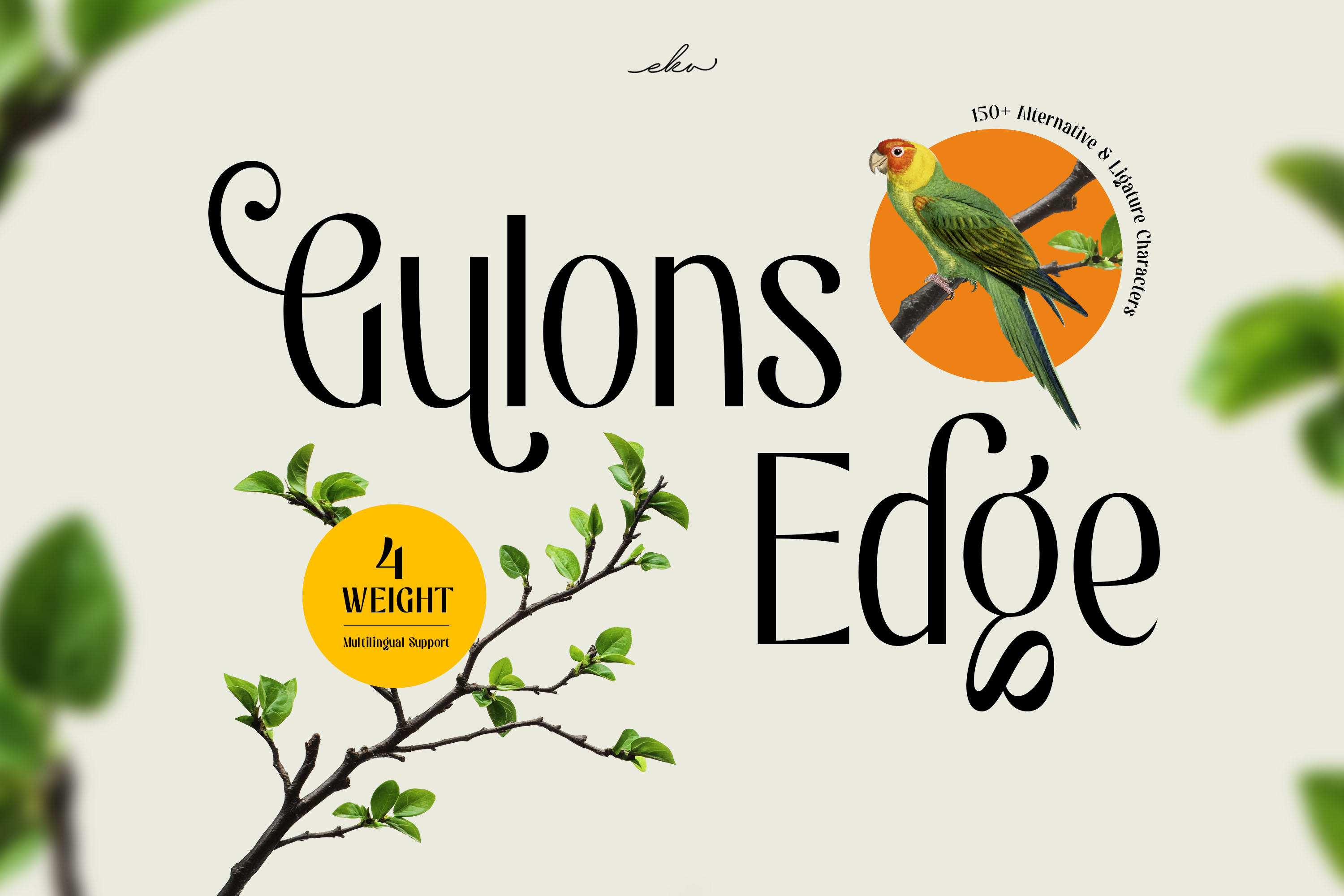 BOLD Impact Preview 4